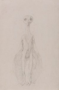 Pöllö seisomassa, näkymä edestä tekijältä George Stubbs