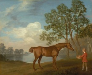Kurpitsa ja Stable-lad tekijältä George Stubbs