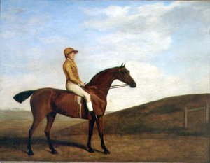 Rosaletta (öljy kankaalle) tekijältä George Stubbs