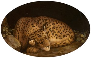 Nukkuva leopardi, 1777.