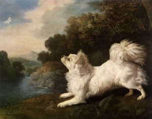 Spanieli, joka kuuluu taidemaalari Coswaylle jahtaamassa perhosta, 1775 tekijältä George Stubbs