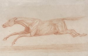Tutkimus kilpahevosesta toiminnassa: laukkaa vasemmalle (punainen liitu kiillotuspaperilla) tekijältä George Stubbs