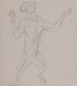 Tutkimus ihmisasennossa seisovasta tiikeristä, vertailevasta anatomisesta näyttelystä ihmiskehon rakenteesta tiikerin ja linnun rakenteen kanssa, 1795-1806 (grafiitti ohuella kudospaperilla) tekijältä George Stubbs