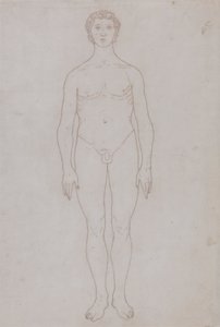 Tutkimus ihmishahmosta, etunäkymä (taulukon VI ääriviivapiirros) tekijältä George Stubbs