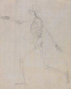 Tutkimus ihmishahmosta, sivuttaisnäkymä, päättynyt tutkimus taulukolle III, vertailevasta anatomisesta esityksestä ihmiskehon rakenteesta tiikerin ja linnun rakenteen kanssa, 1795-1806 (gr) tekijältä George Stubbs