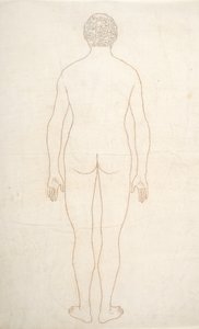 Tutkimus ihmishahmosta, takanäkymä, vertailevasta anatomisesta esityksestä ihmiskehon rakenteesta tiikerin ja linnun rakenteen kanssa, n. 1795-1806 (muste paperille) tekijältä George Stubbs