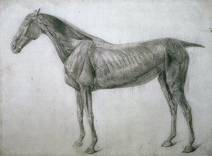 Huonekalut ja erilaiset esineet 1100- ja 1300-luvuilta tekijältä George Stubbs