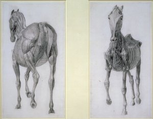 Huonekalut ja erilaiset esineet 1100- ja 1300-luvuilta tekijältä George Stubbs