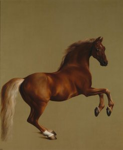 Whistlejacket tekijältä George Stubbs