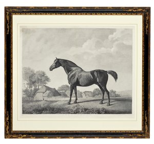 Sweetbrier (pistekaiverrus)