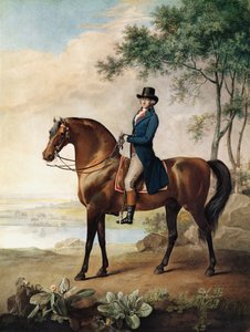 Warren Hastings Esq. Arabian Horsellaan George Stubbsin maalauksen jälkeen