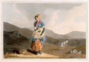 The Cranberry Girl, kaiverrettu Robert Havell vanhemman, julkaissut 1814 Robinson and Son, Leeds