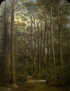 Erämaa, 1857
