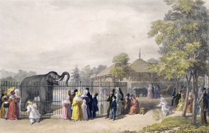 Elephant House eläintieteellisessä puutarhassa, Regent