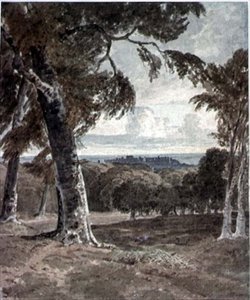 Windsor Park, jossa on linna kaukana