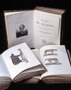 Asetelma "Buffonin täydellisistä teoksista", luonnontieteilijä Georges Louis Leclerc, Buffonin kreivi (1707 - 1788). Kaiverrus vuodelta 1837.