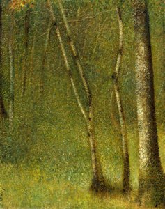 Metsä Pontaubertissa, 1881.