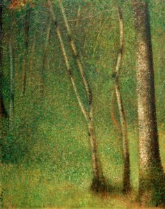 Aluskasvillisuus Pontaubertissa (Wald in Pontaubert) tekijältä Georges Seurat