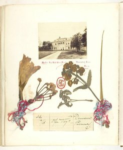 Nimetön [näkymä Broadlandsista kuivakukkineen], 1868.