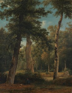  tekijältä Georgius Jacobus Johannes van Os
