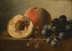  tekijältä Georgius Jacobus Johannes van Os