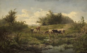 Lehmät lammen rannalla