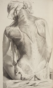Govard Bidloo, ihmiskehon anatomia, 1685