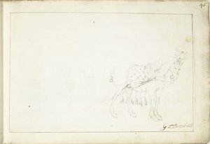 Hevonen, oikealle tekijältä Gerard ter Borch (II) (signed by artist)