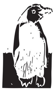 Pingviini tekijältä Gerhardt Isringhaus