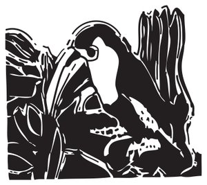 Toucan tekijältä Gerhardt Isringhaus
