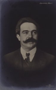 Johannes Wolffin muotokuva (s/w valokuva) tekijältä German Photographer