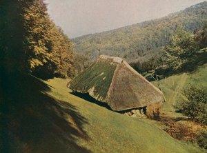 Perinteinen Schwarzwaldin maalaistalo, Wildtal, Saksa (värivalokuva) tekijältä German Photographer