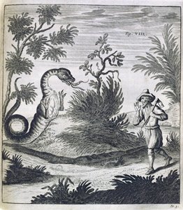 Pelottava lohikäärme, n. 1660 tekijältä German School