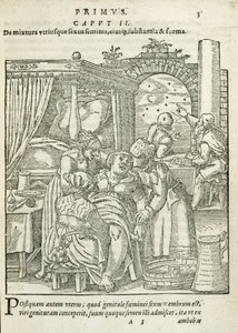 Nainen työssä, kuvitus Rueffin 1587 kirjan On the Conception and Growth of Man, luvusta 2, kirja 1 tekijältä German School