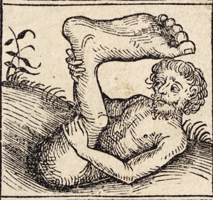 Sciopod, mies, jolla on turvonnut jalka, Nürnbergissä julkaistun Hartmann Schedelin (1440-1515) kirjasta "Registrum Hujus Operis Libri Cronicarum cum Figuri et Imagibus ab Inicio Mundi" tekijältä German School