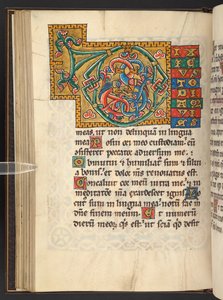 Lisätä. 60629, f.43v Suuret kehystetyt alkukirjaimet kullalla ja väreillä lehtivihreällä ja joskus zoomorfisella ja antropomorfisella ornamentilla (vellum) tekijältä German School