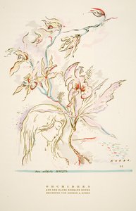 Mainos "Orchideen aus dem Hause Hermann Roth" lehdestä Styl, pub.1922 (pochoir-painatus). tekijältä German School
