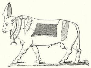 Apis, muinaisen Egyptin pyhä härkä (kaiverrus) tekijältä German School