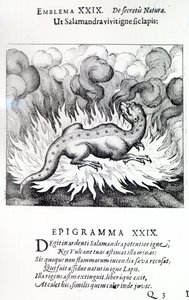 Kuten salamanteri tulessa, niin myös kivi, Michael Maierin Atalanta fugiensin tunnus XXIX, 1617 tekijältä German School