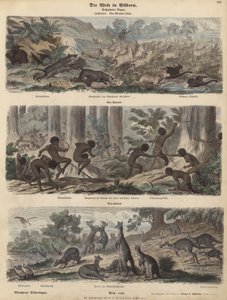 Australia (värillinen kaiverrus) tekijältä German School