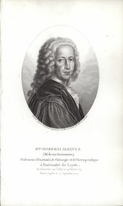 Bernhard Siegfried Albinus tekijältä German School