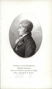 Charles Louis Wildenow tekijältä German School