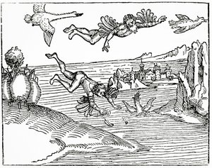 Daedalus, joka pakenee Kreetalta poikansa Ikaruksen kanssa, näkee hänen putoavan kuoliaaksi, 1493 (puupiirros)