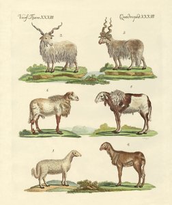 Huonekalut ja erilaiset esineet 1100- ja 1300-luvuilta