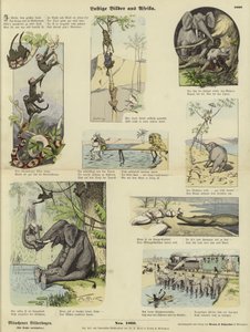 Huonekalut ja erilaiset esineet 1100- ja 1300-luvuilta
