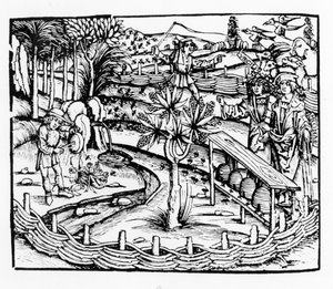 Onnelliset aviomiehet hoitavat mehiläisiä, kuvitus Vergiliusin Georgicsista, kirja IV, Sebastian Brantsin (1457-1521) painos, julkaistu 1502 tekijältä German School