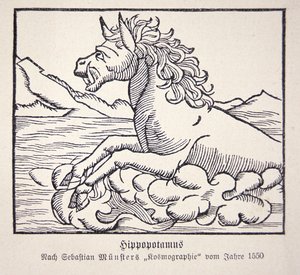 Virtahepo Sebastien Münsterin Cosmographie Universalisista tekijältä German School