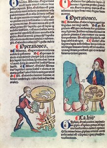 Kuvitettu sivu Hortus Sanitatisista, 1491 (värillinen puupiirros) tekijältä German School