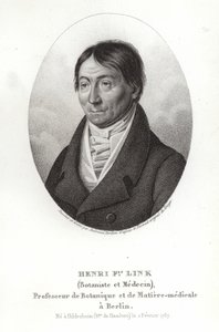 Johann Heinrich Friedrich Link tekijältä German School