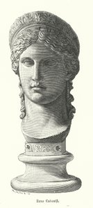 Juno Ludovisi, antiikin roomalainen kolossaalinen marmoripää, joka kuvaa Antonina Minorin, Mark Antonyn ja Octavia Minorin tytärtä, jumalatar Junona (kaiverrus) tekijältä German School
